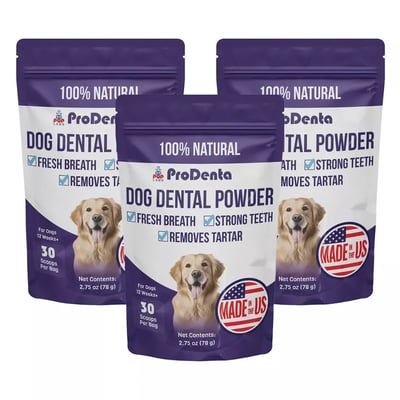 Prodenta Dental Powder, 3 packs