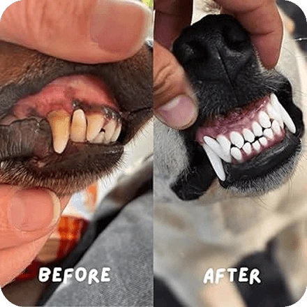 before and after