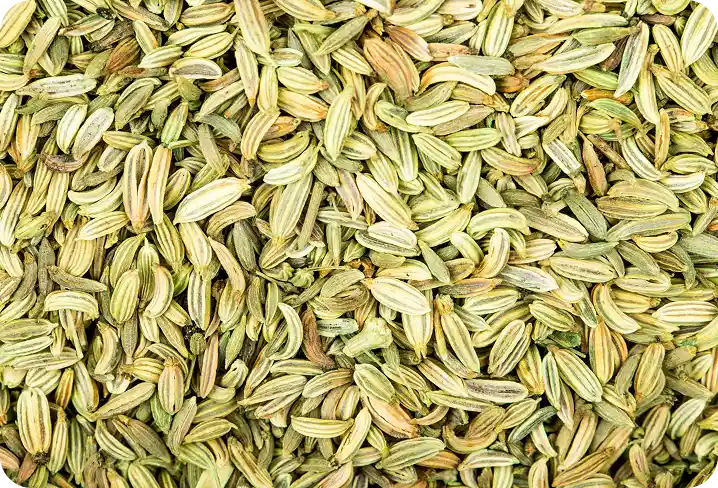 A close-up overhead photograph of a pile of dried fennel seeds.
