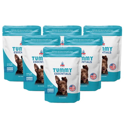 Tummy Essentials Digestive Chews, 6 packs