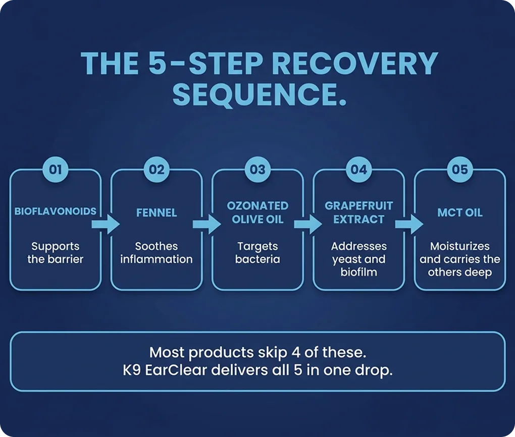 An infographic titled 'The 5-Step Recovery Sequence' listing ingredients and their benefits in a flowchart.