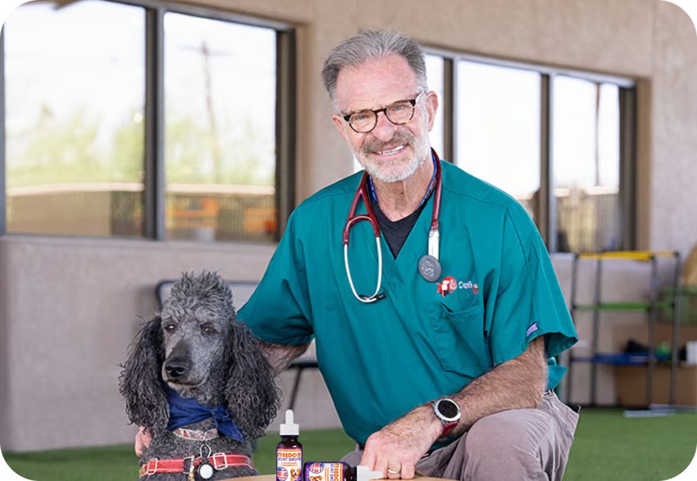 Is Your Old Dog On The Fast-Track To An Early Grave?