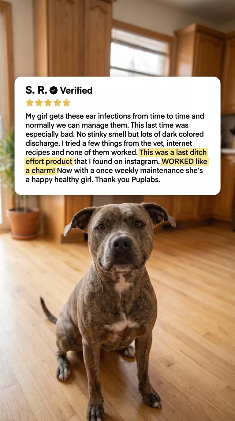 A brindle dog sits on a hardwood floor below a text overlay of a positive customer review.