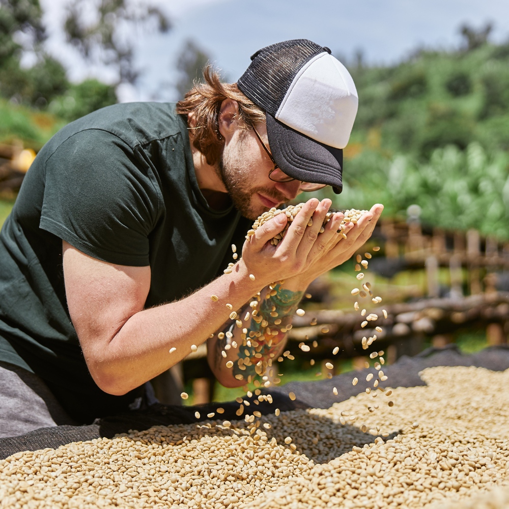 Person examining coffee beans at a drying station outdoors.