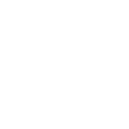 White lightning bolt icon on a black background.