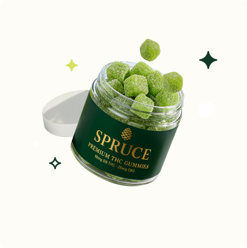 Jar of green gummies labeled 'Spruce Premium THC Gummies' with a white lid nearby.