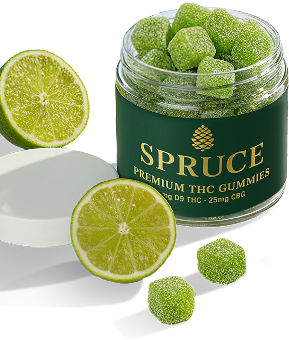 Jar of green gummies with sliced lime, labeled 'Spruce Premium THC Gummies.'