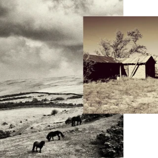 A sepia-toned photo collage of ponies on a hillside and a dilapidated shack in a field.