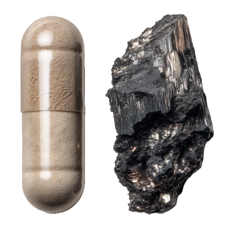 A brown capsule next to a rough black mineral rock.