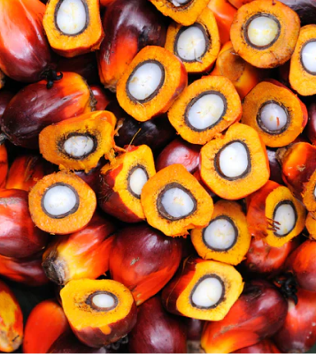 A close-up overhead shot of a pile of whole and halved oil palm fruits.