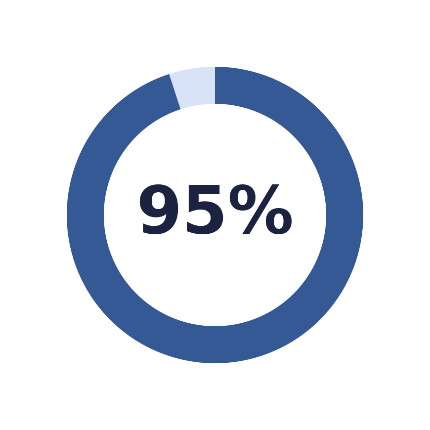 Blue circular progress graphic showing 95% completion.