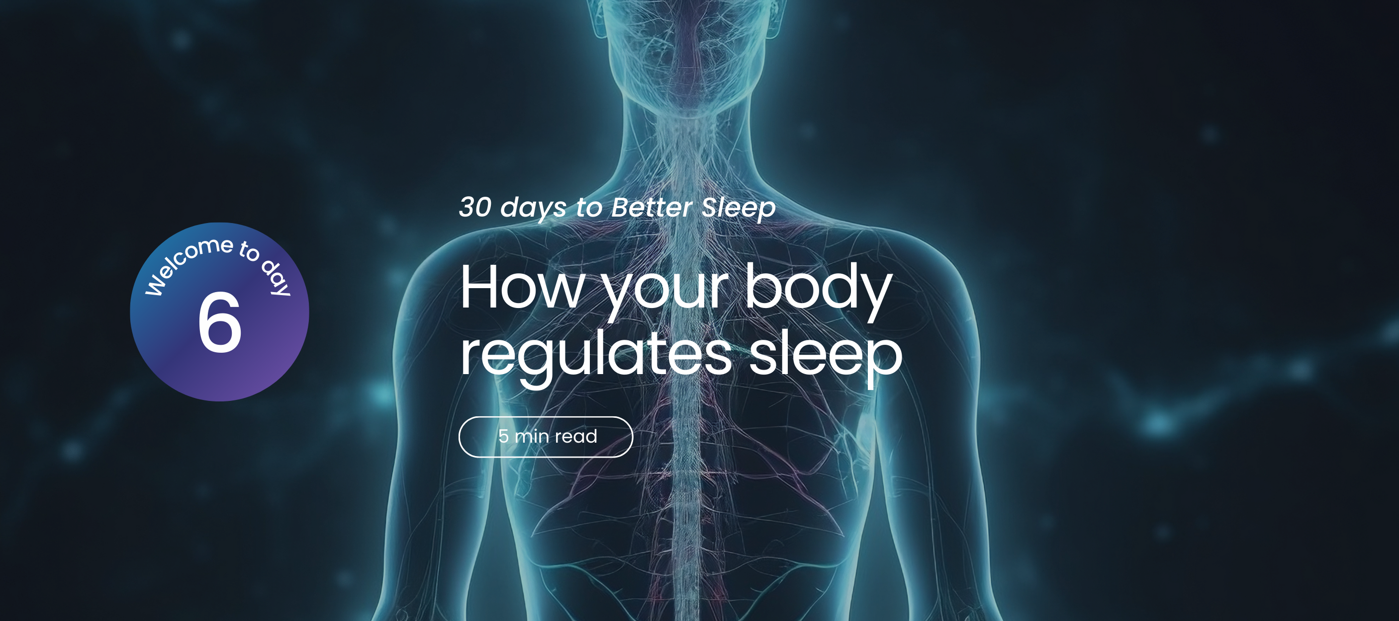 Illustration of human nervous system with text about sleep regulation.