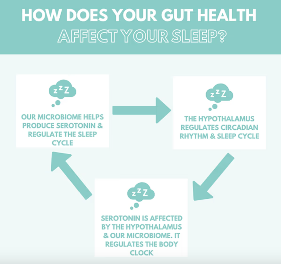 Diagram showing gut health's impact on sleep through microbiome, hypothalamus, and serotonin.