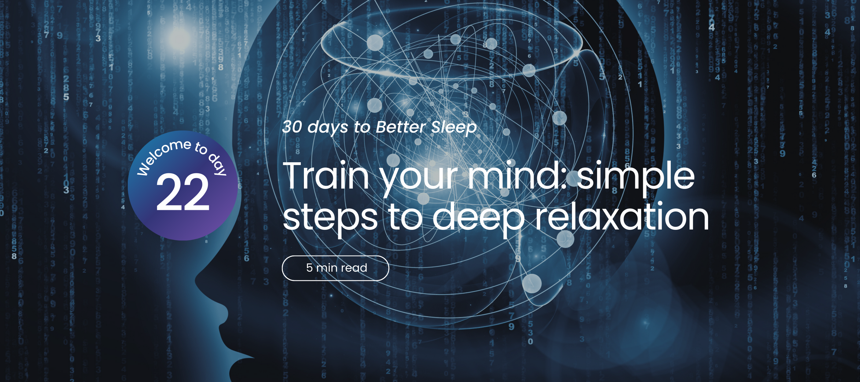 Silhouette of a head with digital patterns and text about relaxation and better sleep.