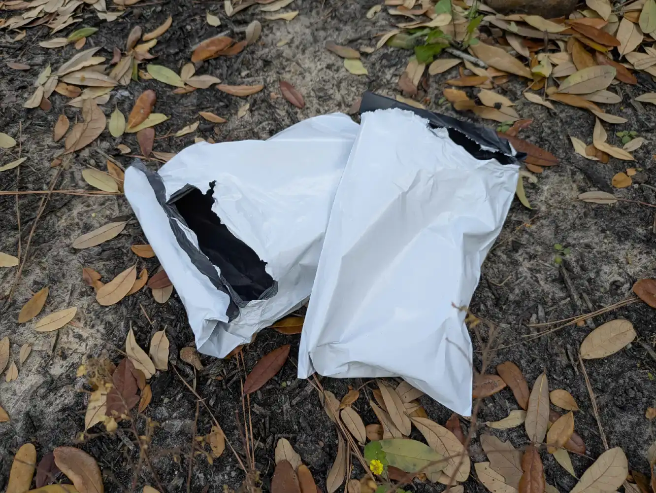 Discarded white plastic poly mailer torn open on the ground among leaves illustrating packaging waste