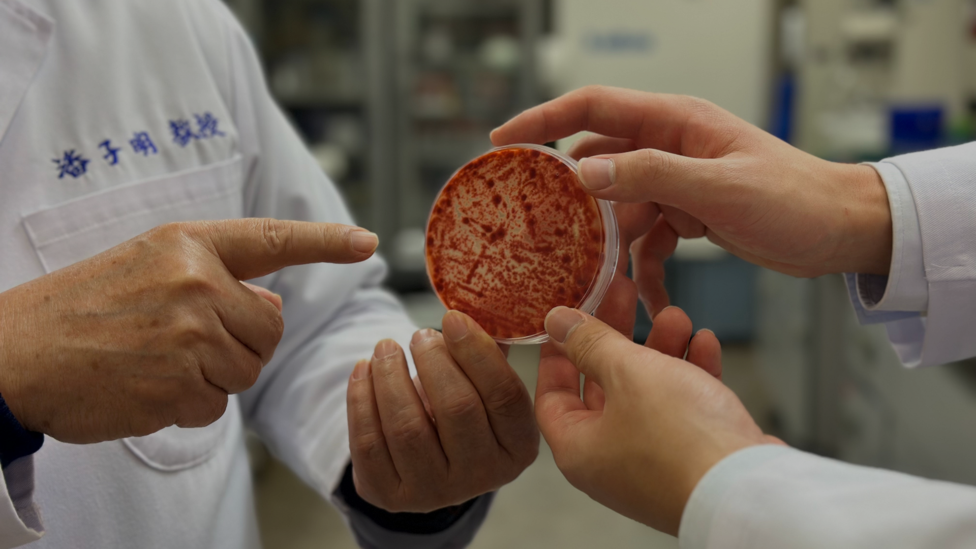 Two people in lab coats look at a petri dish containing a red substance.