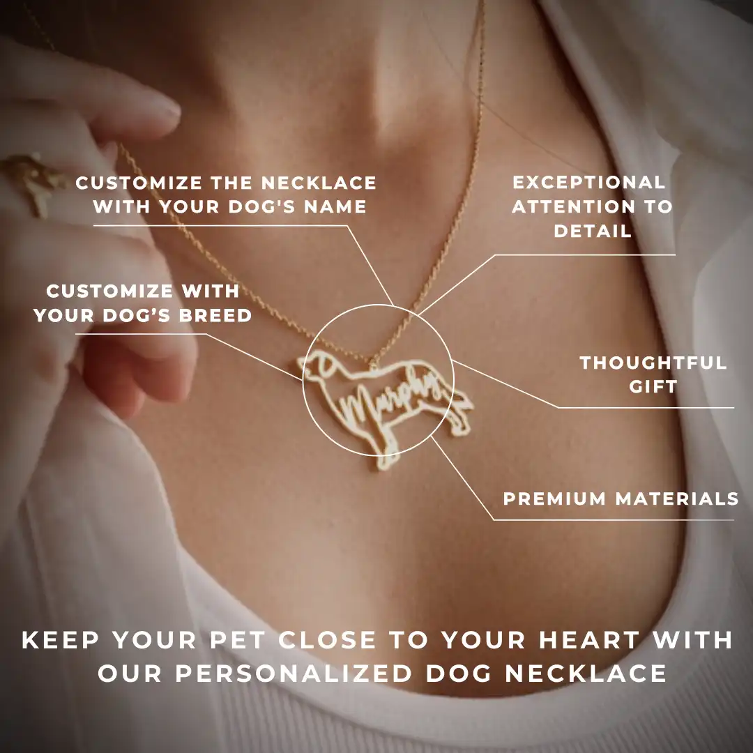 Close-up of a personalized dog necklace with text highlighting customization options.