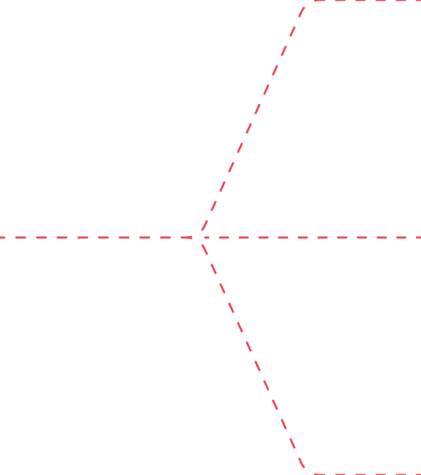 A diagram of three red dashed lines branching from a single point on a white background.