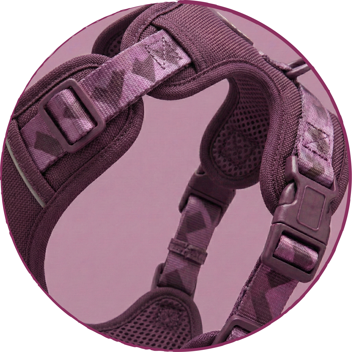 A close-up shot of a purple dog harness with camouflage patterned straps and plastic buckles.