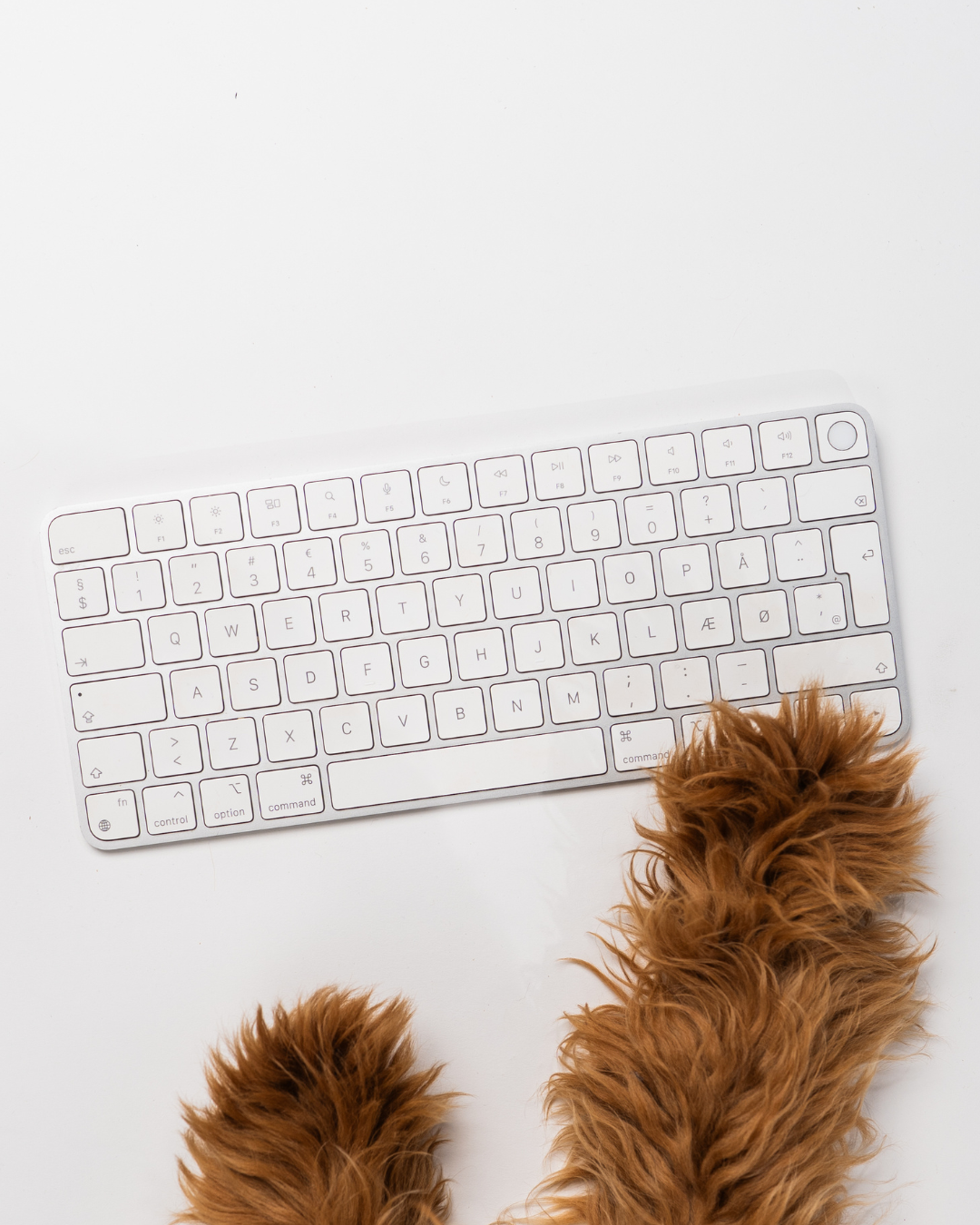 White keyboard with brown furry paws on a white surface.