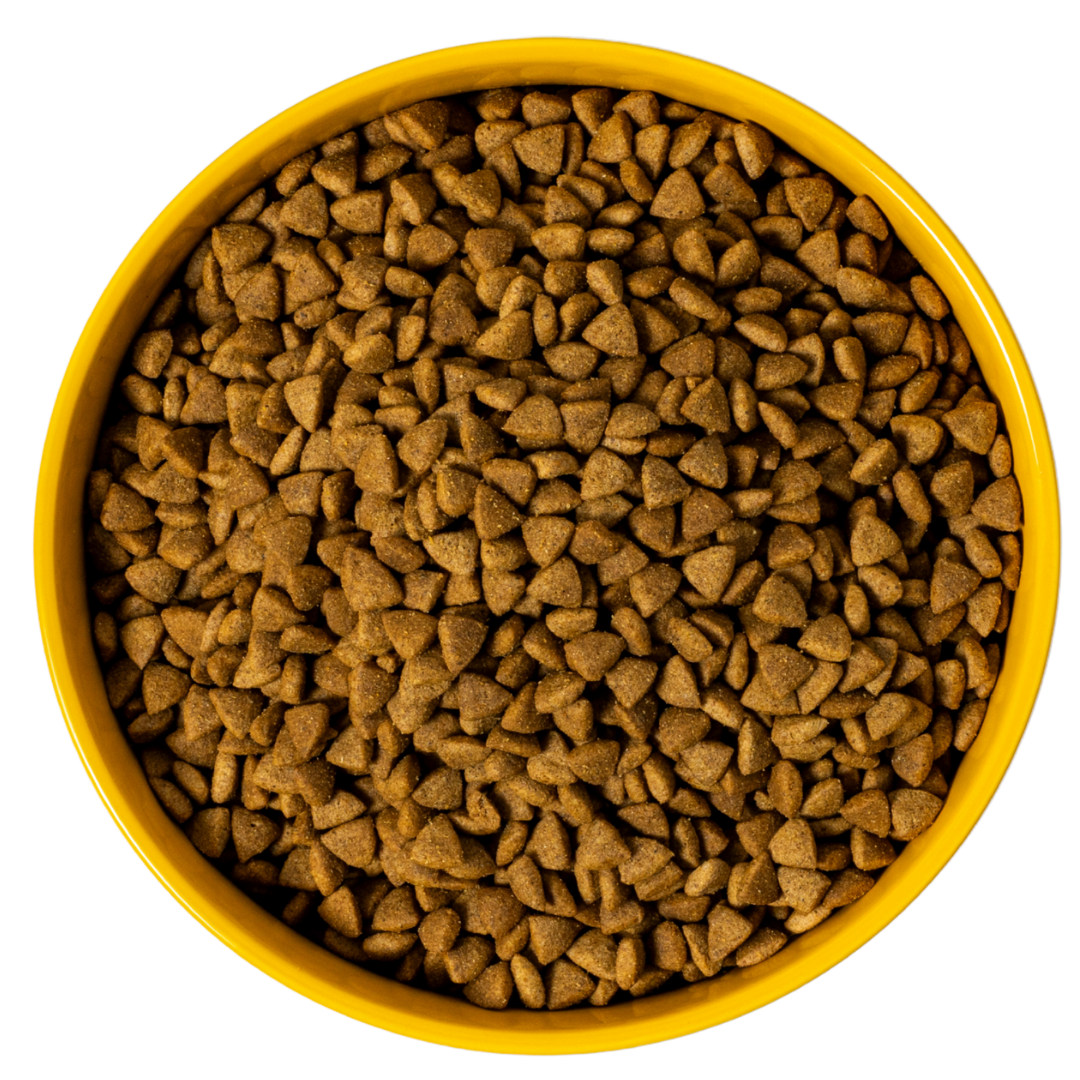 Yellow bowl filled with brown pet food against a black background.