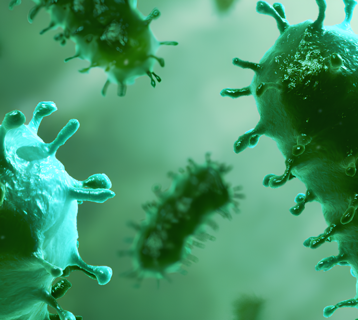 Close-up of green microscopic virus particles with spikes.