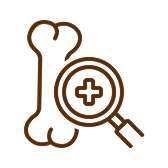 Magnifying glass and bone icon representing research or examination.
