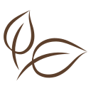 Simple brown line drawing of three leaves.