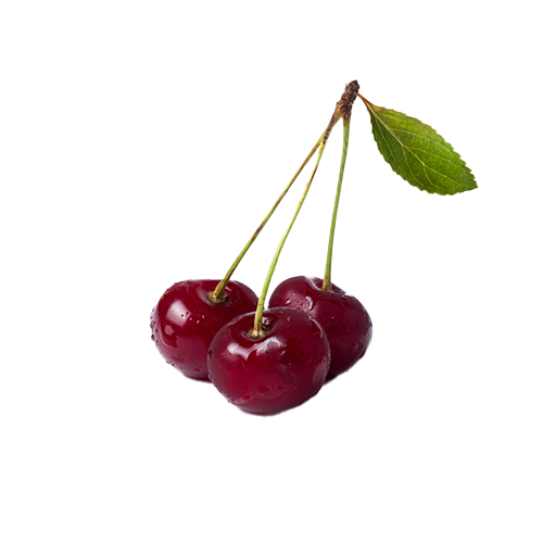 Three red cherries with stems and a leaf on a white background.
