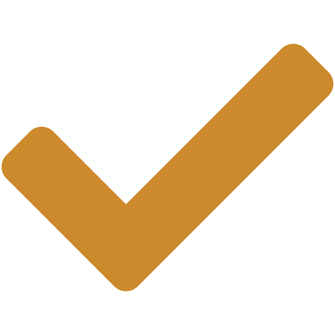 Orange check mark on a transparent background.