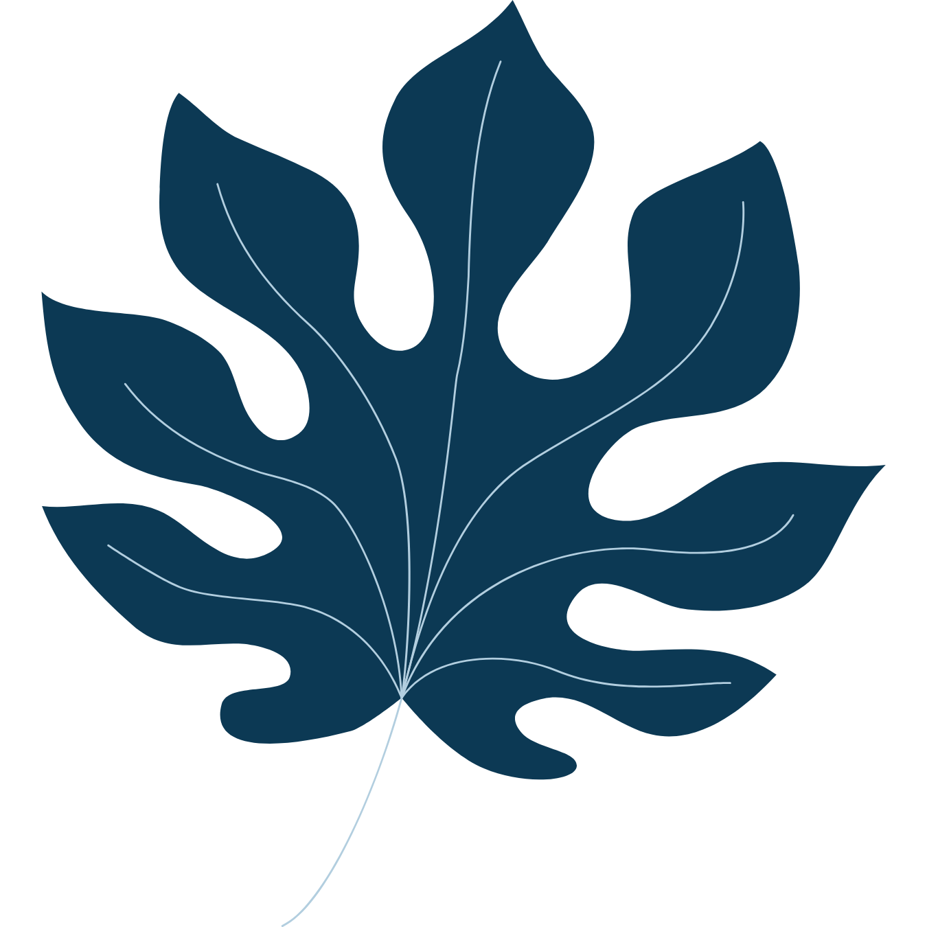 Blue stylized leaf illustration with white vein lines on a black background.