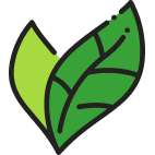 Cartoon illustration of two green leaves, one darker than the other.