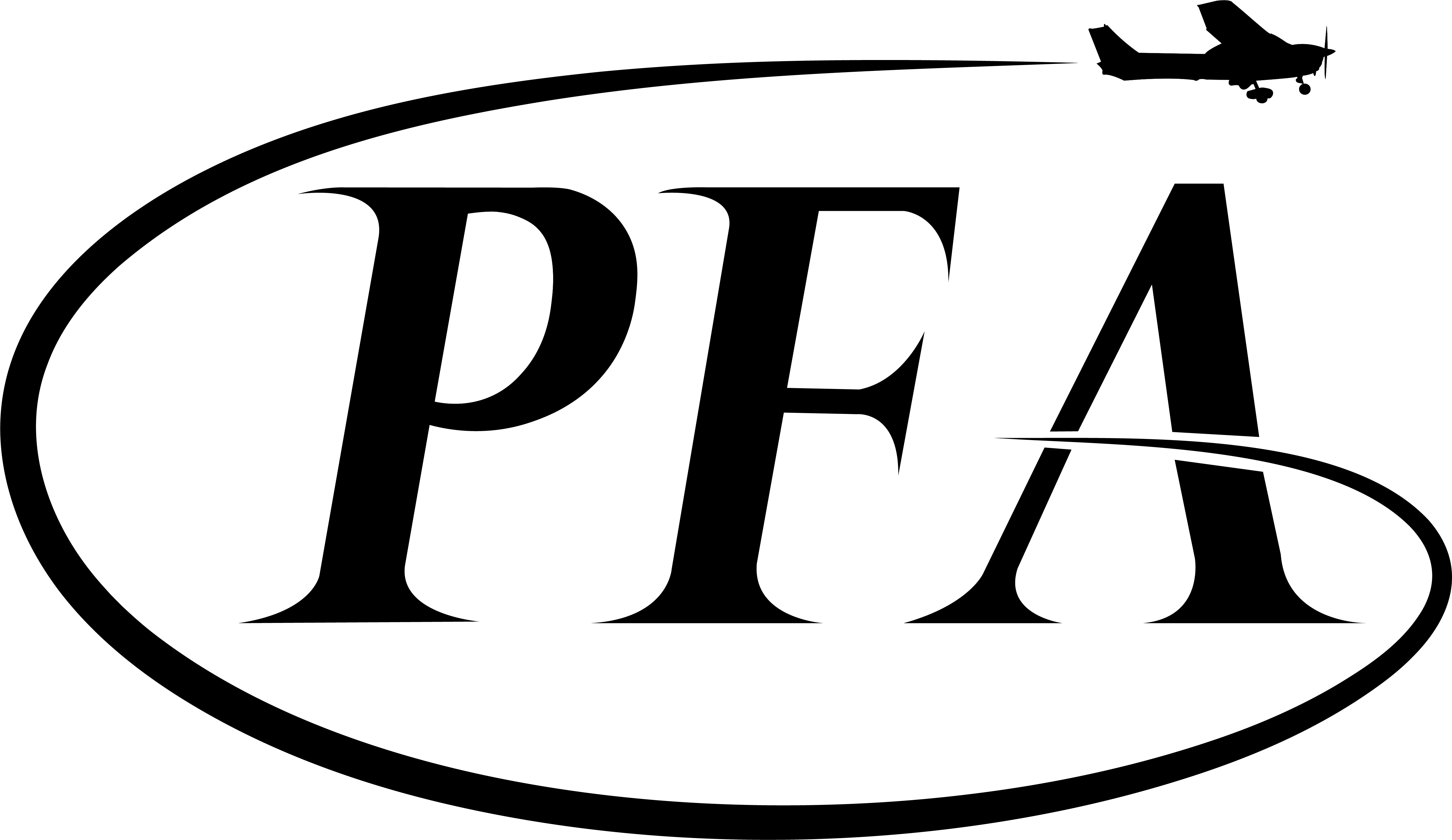 Black logo with 'PFA' and a small airplane silhouette.