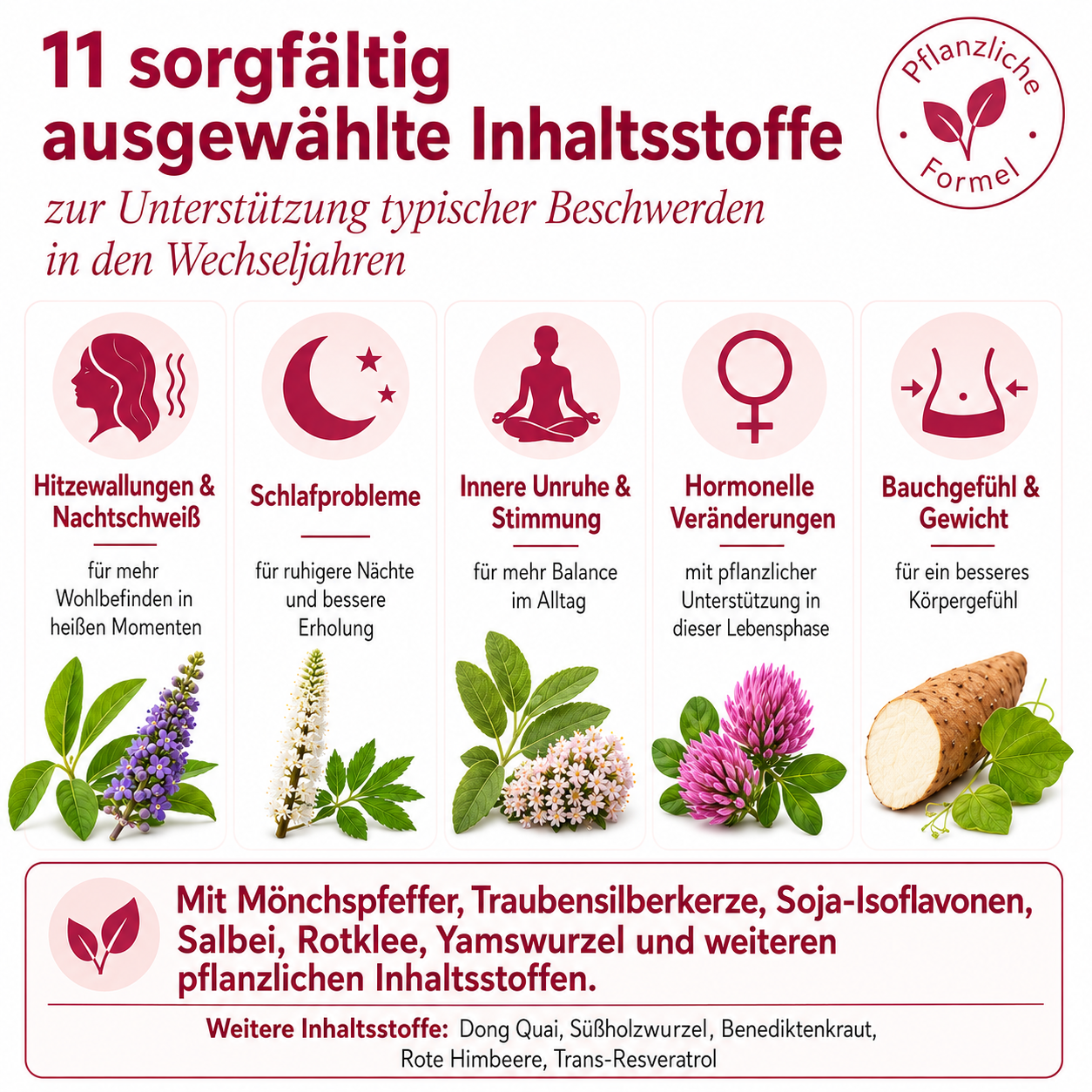 An infographic in German showing plant-based ingredients to help with symptoms of menopause.