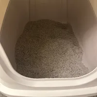 A top-down view of a white litter box filled with gray, pellet-style cat litter.