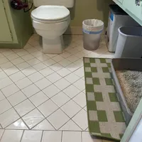 A white toilet on a tiled floor next to a trash can and a cat litter box.