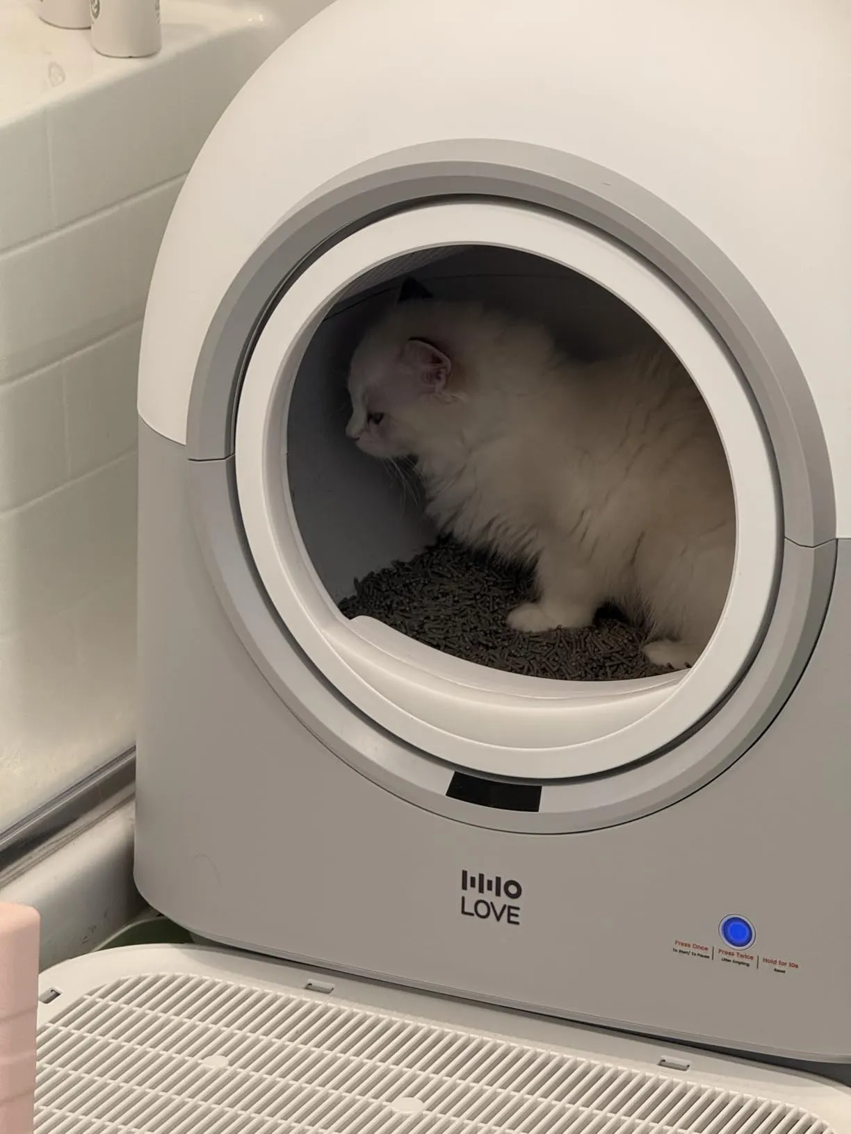 A fluffy white cat sits inside a modern, white and grey automatic litter box.