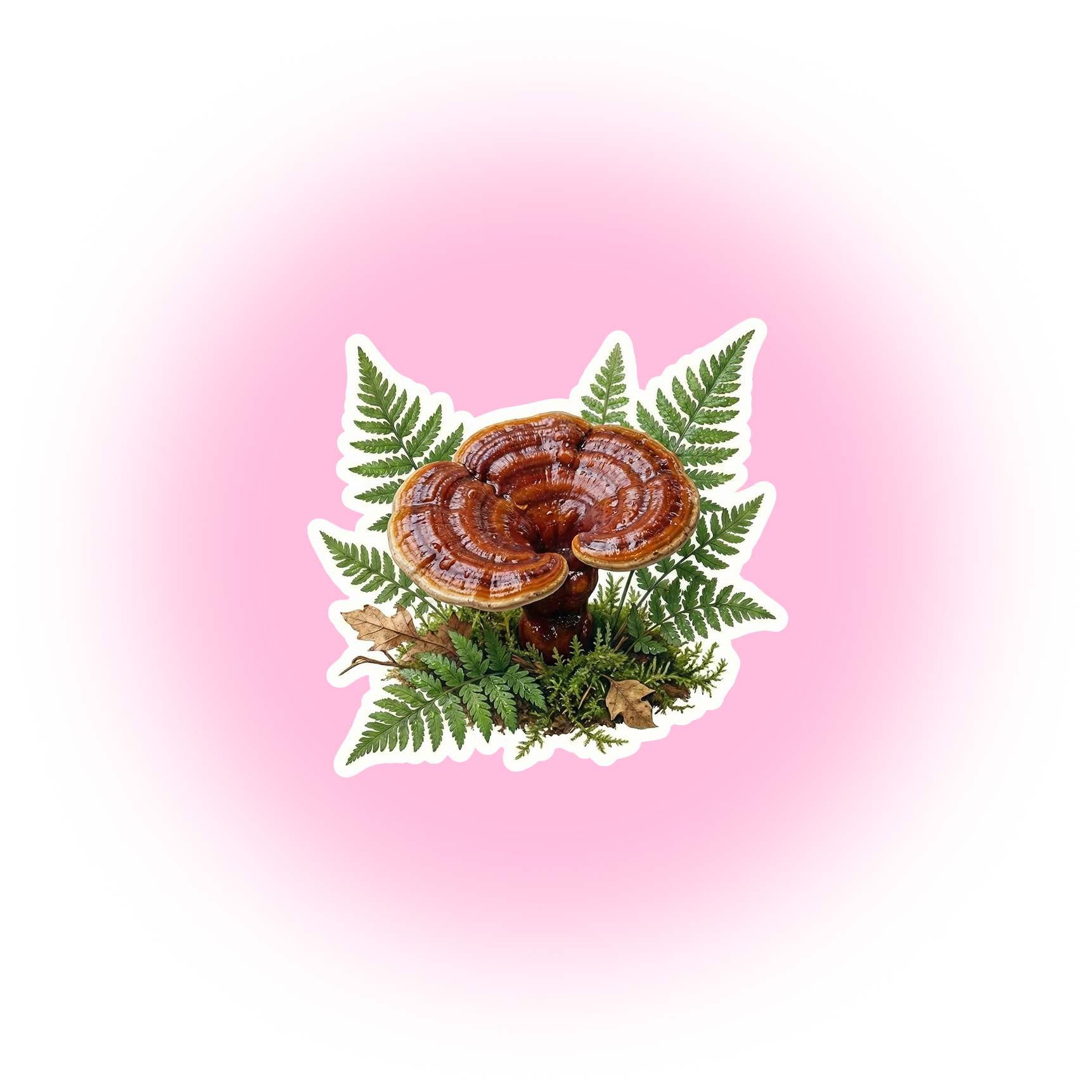 A vibrant pink hibiscus flower with a yellow-orange gradient background.