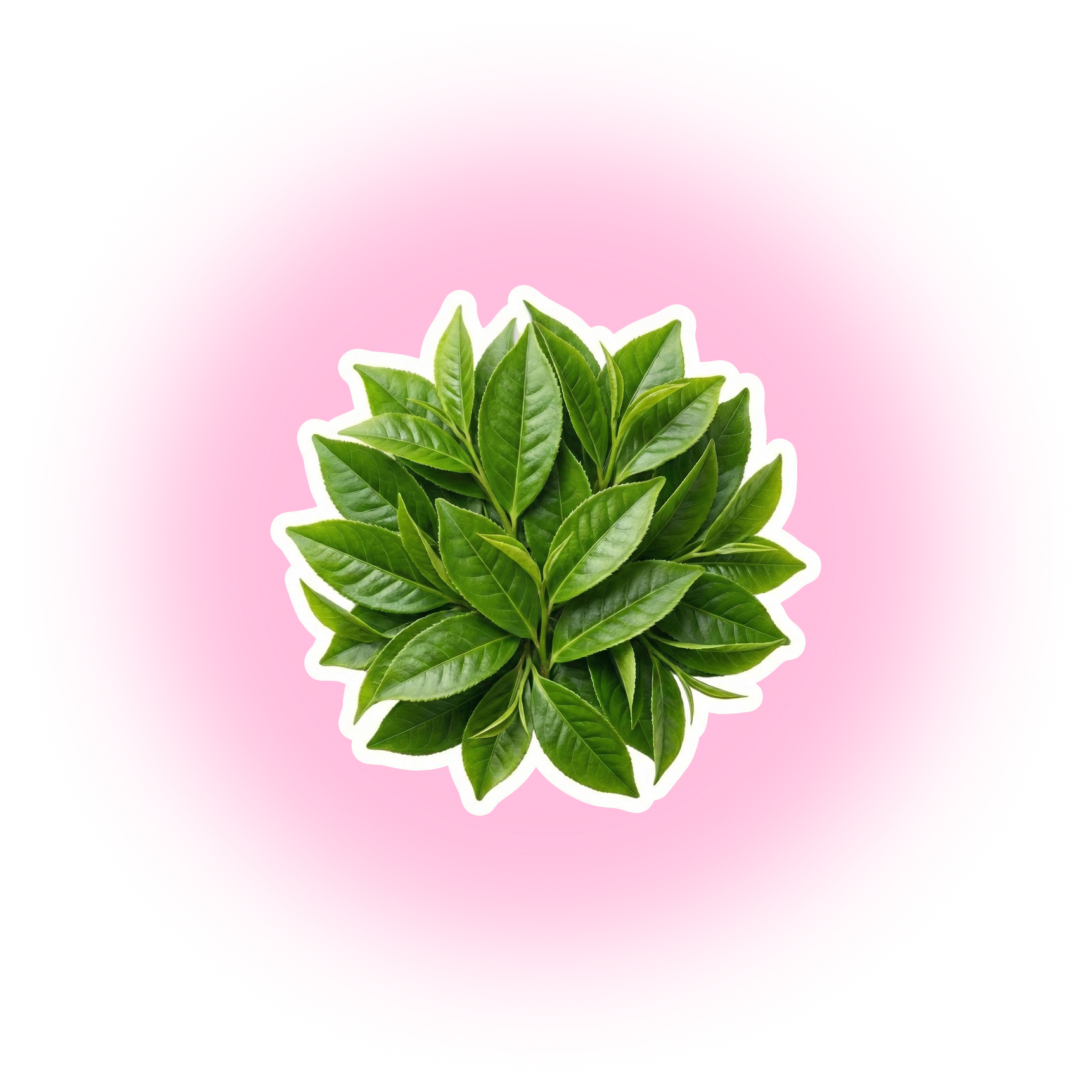 A vibrant pink hibiscus flower with a yellow-orange gradient background.