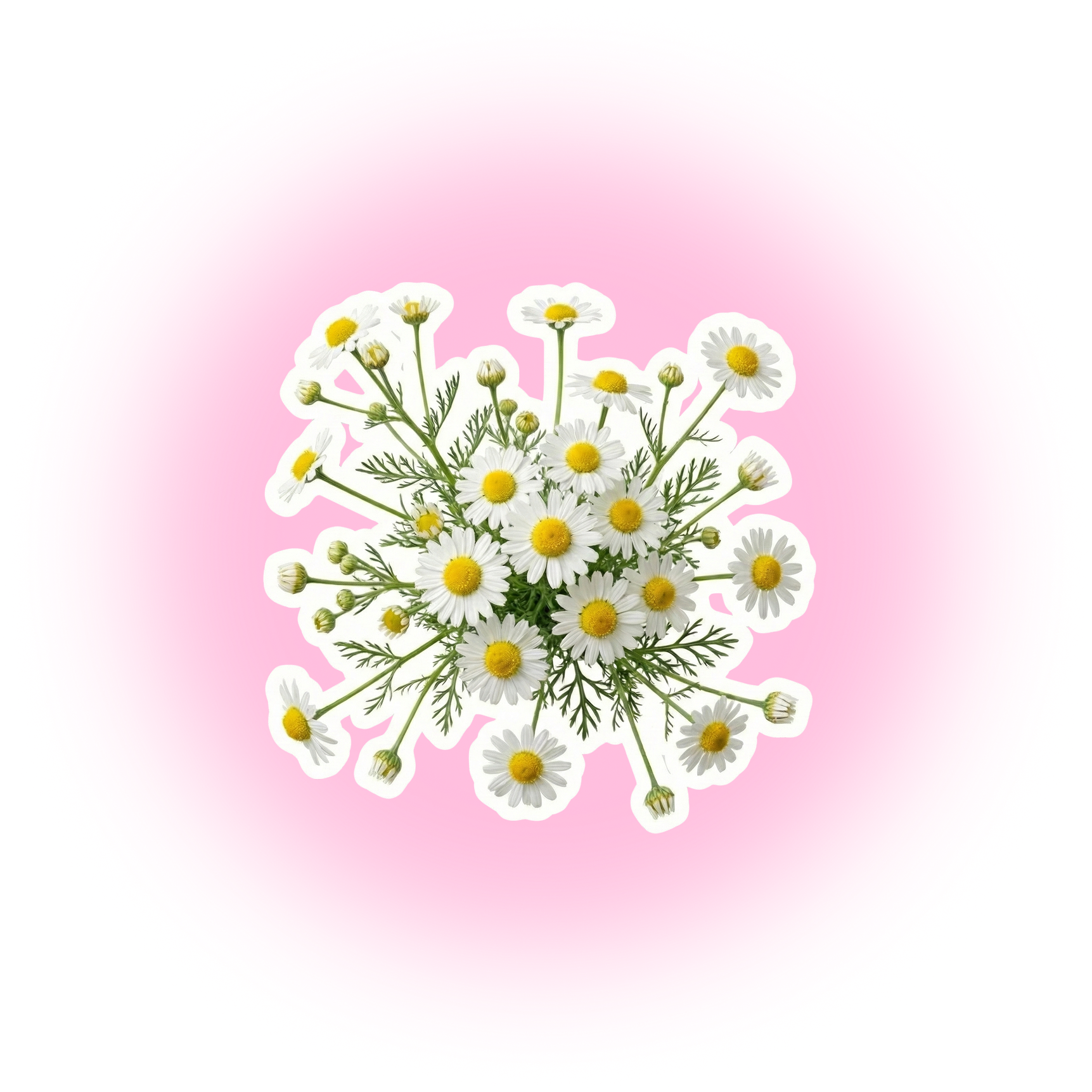 A vibrant pink hibiscus flower with a yellow-orange gradient background.
