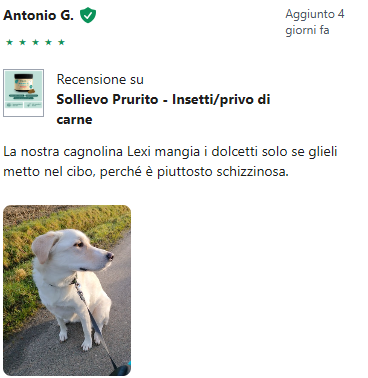 Recensione 4