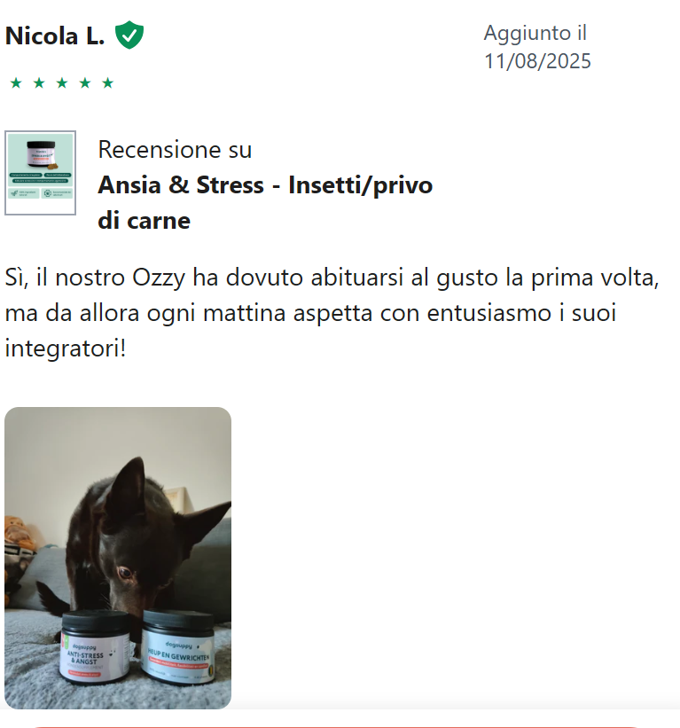 Recensione Giada S.