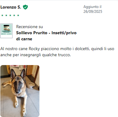 Recensione 2