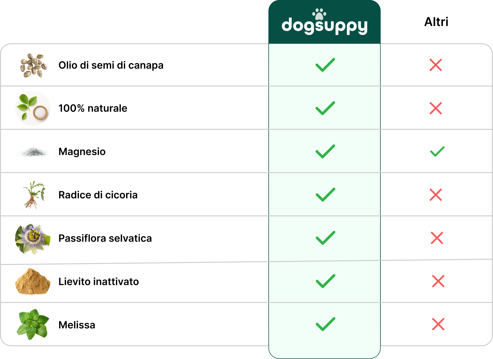 Tabella comparativa DogSuppy vs altri