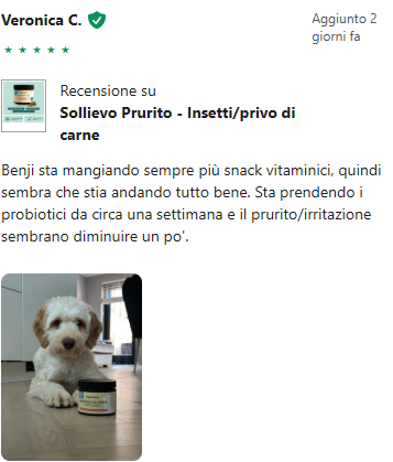 Recensione 6