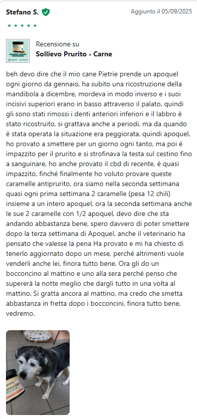 Recensione 3