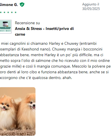 Recensione Nicola L.