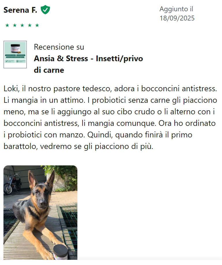Recensione Arianna T.