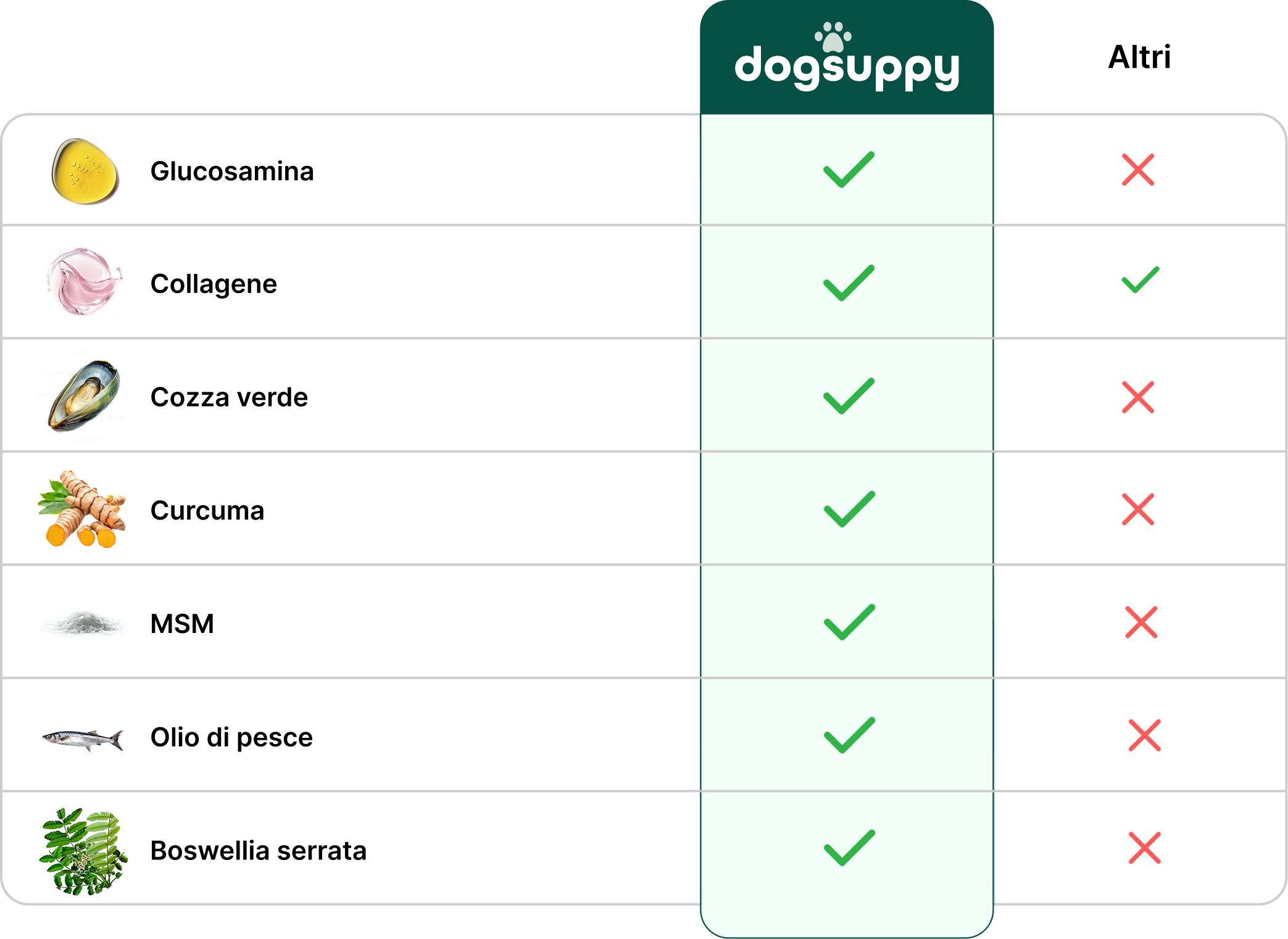 Tabella comparativa Ossa e Articolazioni DogSuppy vs altri prodotti