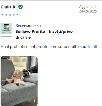 Recensione 1